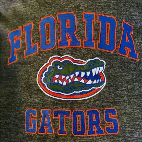 Florida Gators Colosseum Sweatshirt Hoodie  Size Large Heather Grey Unisex - Picture 8 of 8